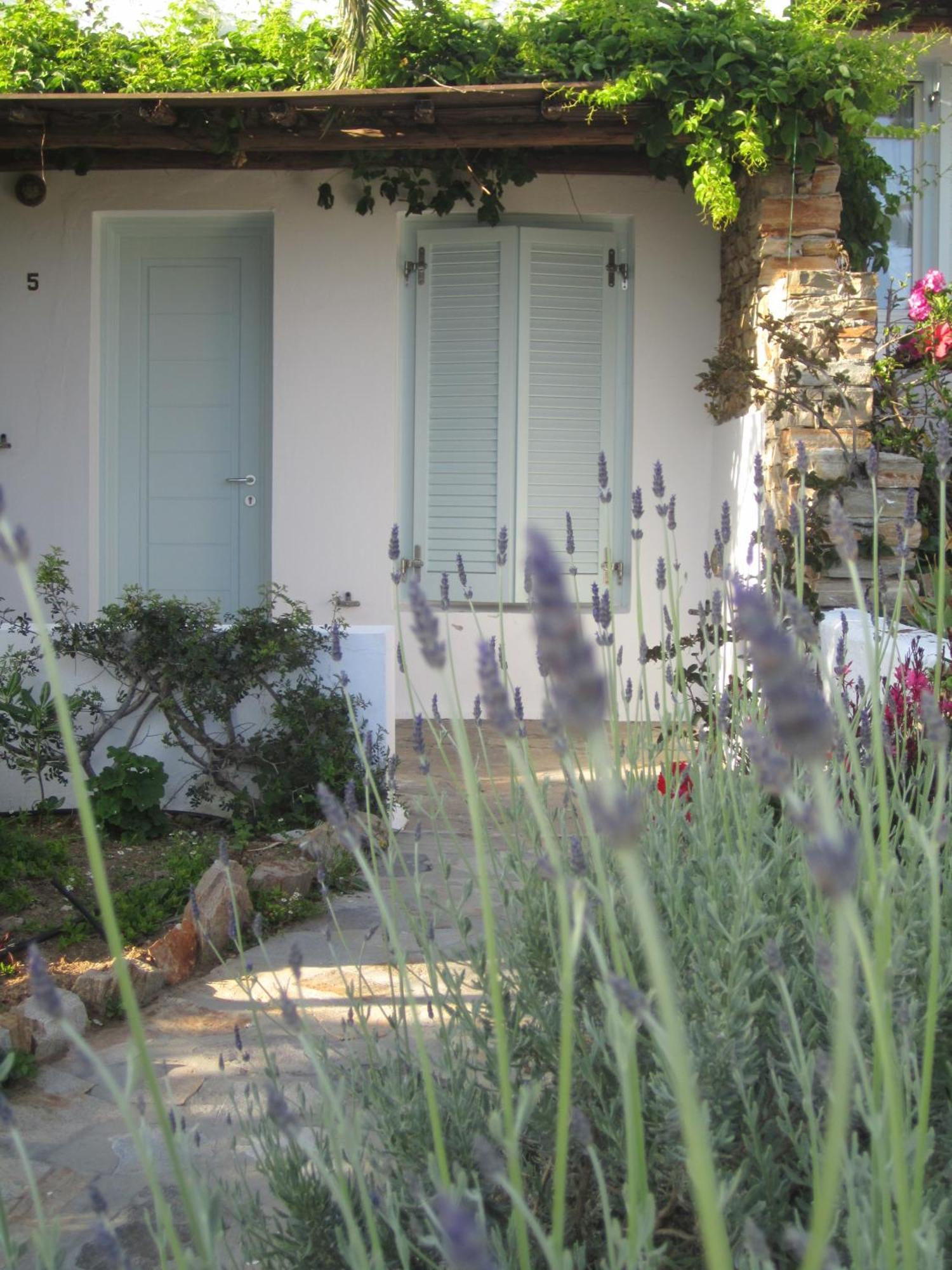 Kavos Hotel Naxos Stelida  Dış mekan fotoğraf